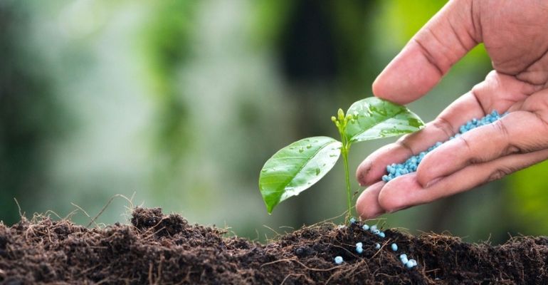 the impact of slow-release fertilizers