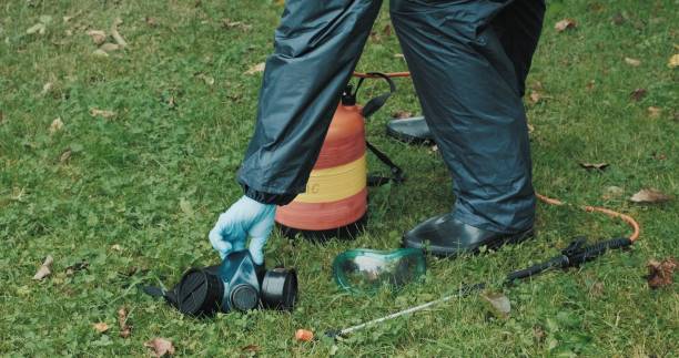 Pest control services 4