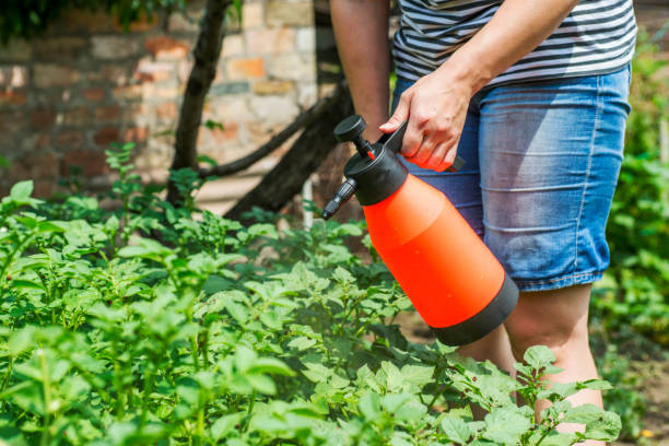 Pest control services 7