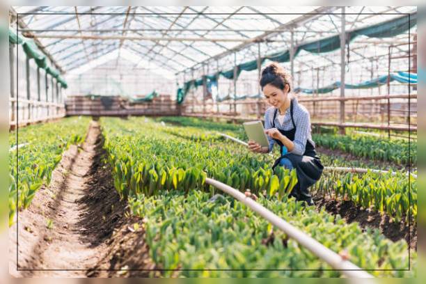Types of Farming 3