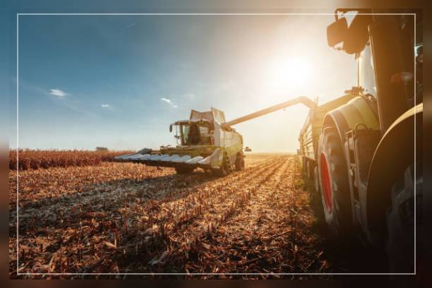 Types of Farming 4