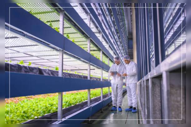 Types of Farming 6