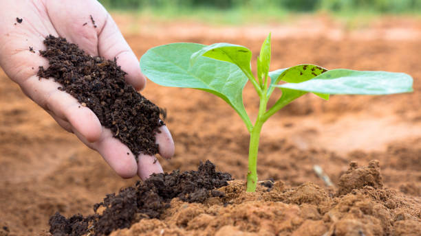 Types of organic farming 1