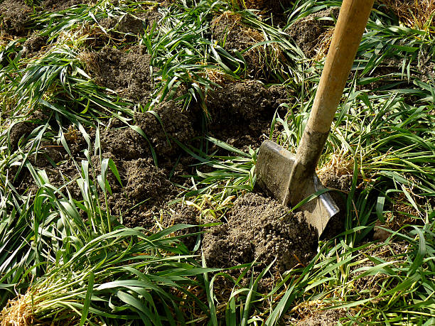 Types of organic farming 3