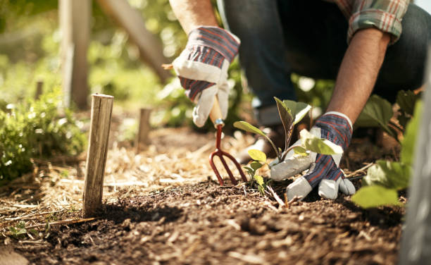Types of organic farming 4