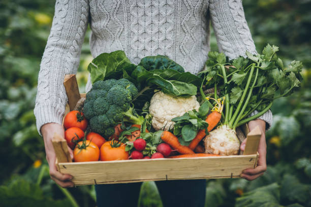 Types of organic farming 5