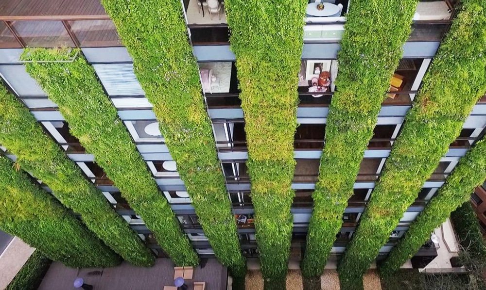 adapting vertical gardening
