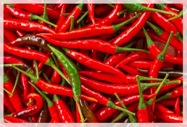 chili pepper