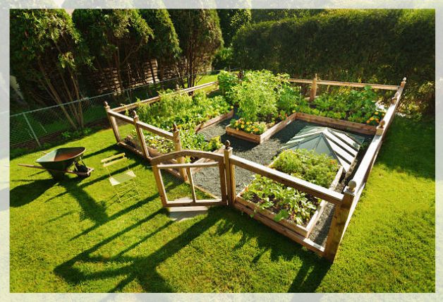garden fence 1