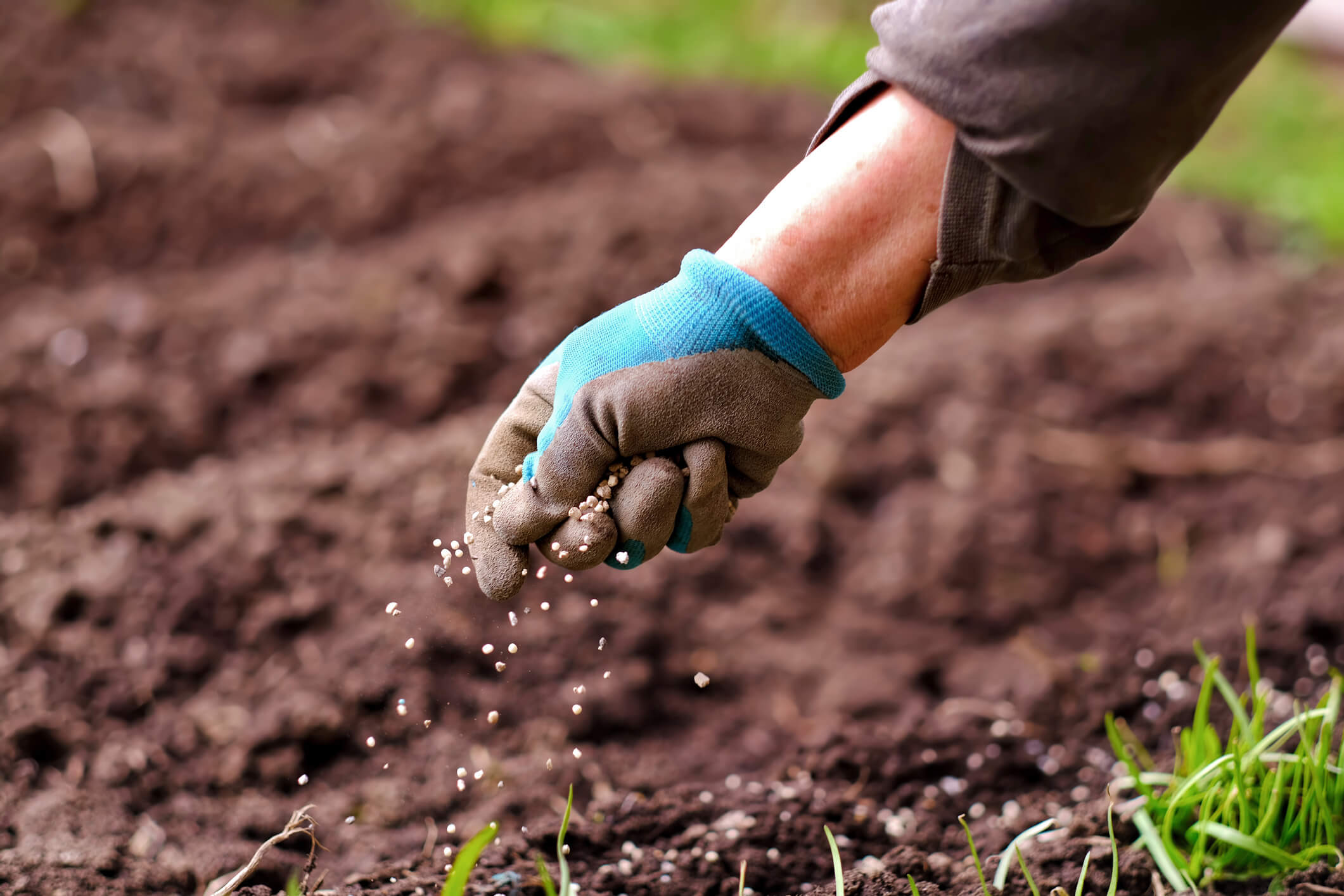 what is fertilizer production