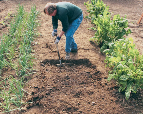 how double digging is done