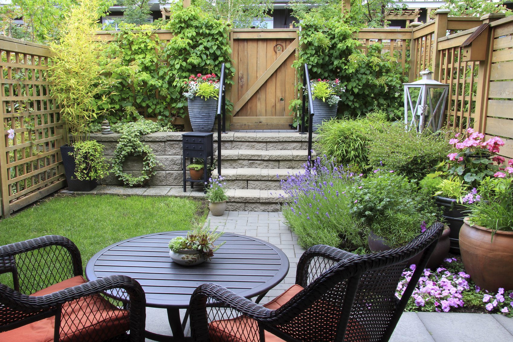 a small garden
