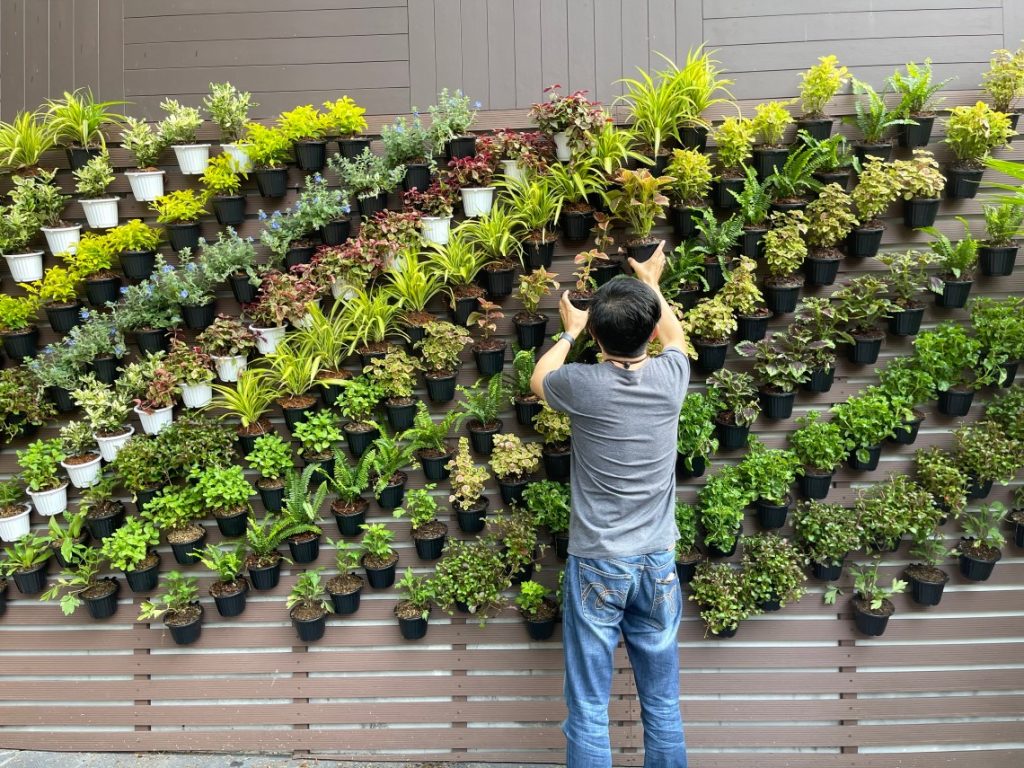 vertical gardening Dubai