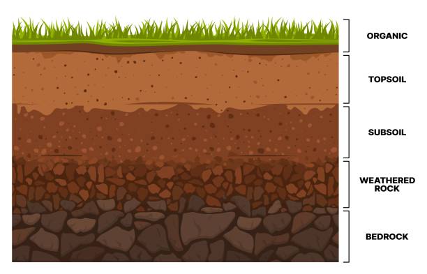 Soil formation 2