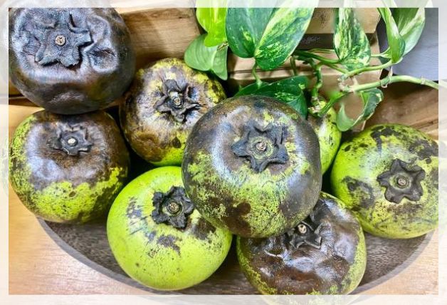Ripe and unripe black sapote fruits with green skins and dark pulp