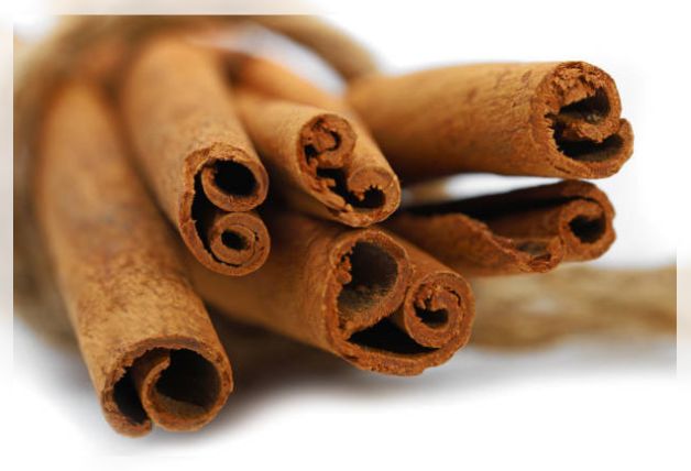 cinnamon tree