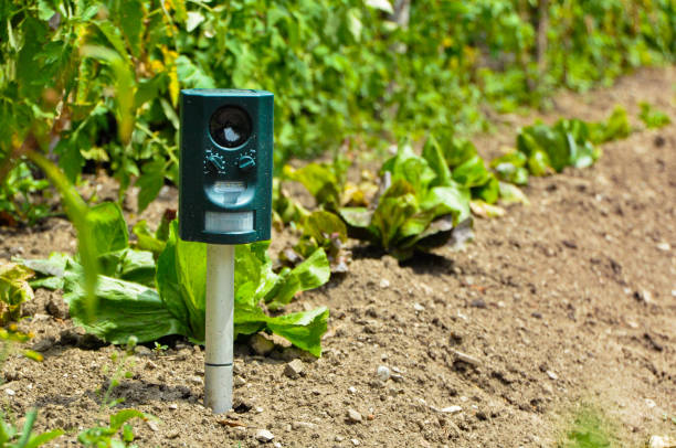 Agricultural sensors 4