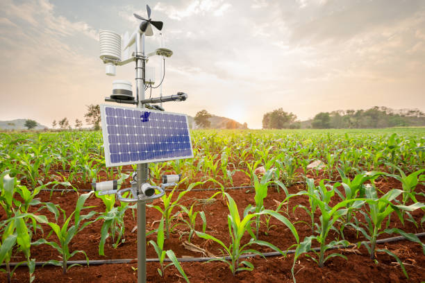 Agriculture temperature sensors 8