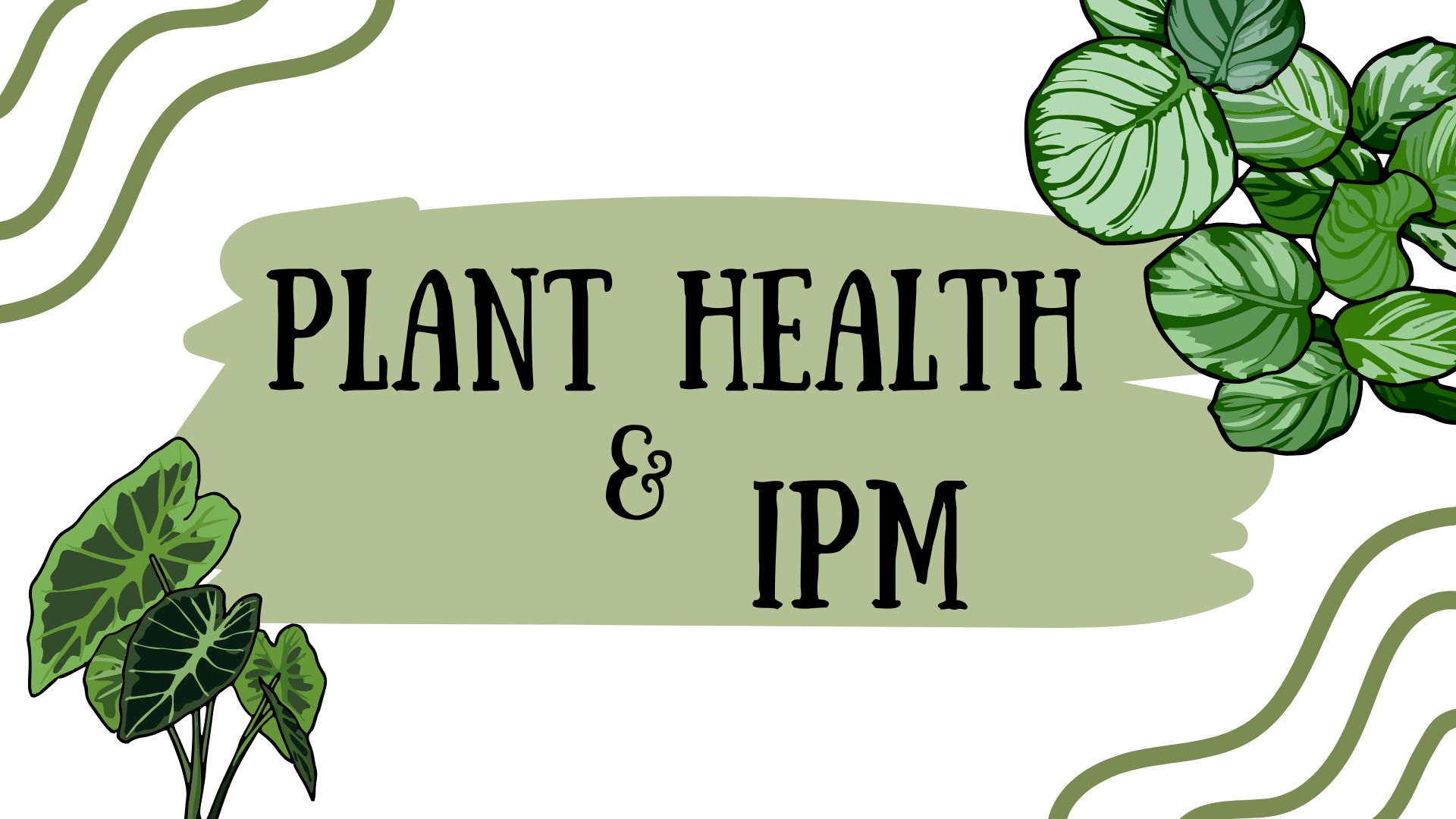 Plant Health & Integrated Pest Management (IPM)